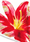 Tankíni Floral Com Alças Duplas E Acabamento Ondulado