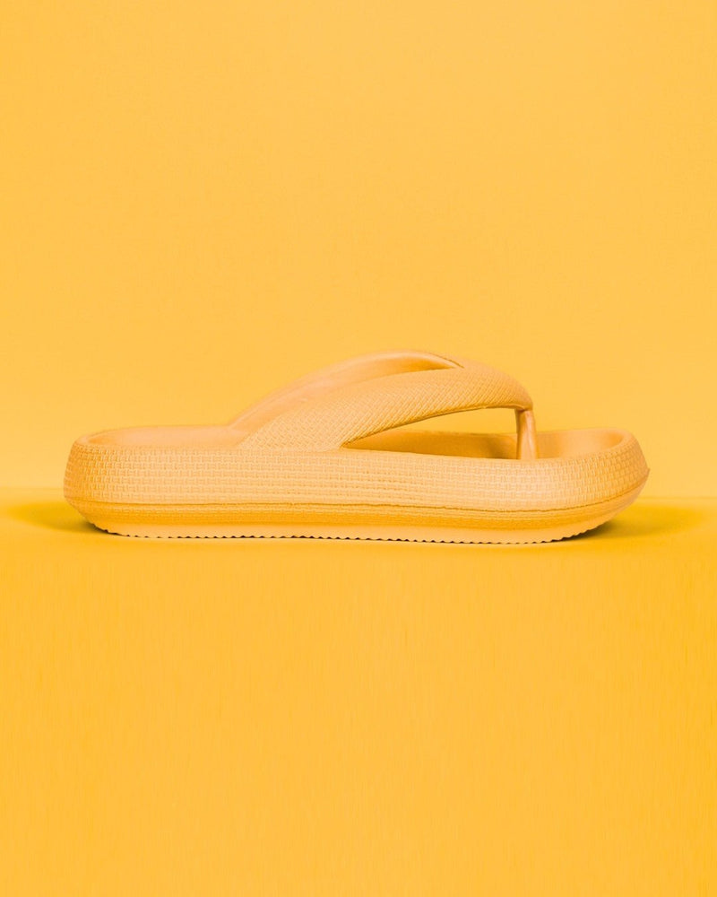 Chinelo Anatômico Cloud