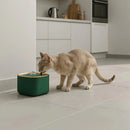 Fonte Purificadora Capri