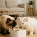 Fonte Purificadora Capri