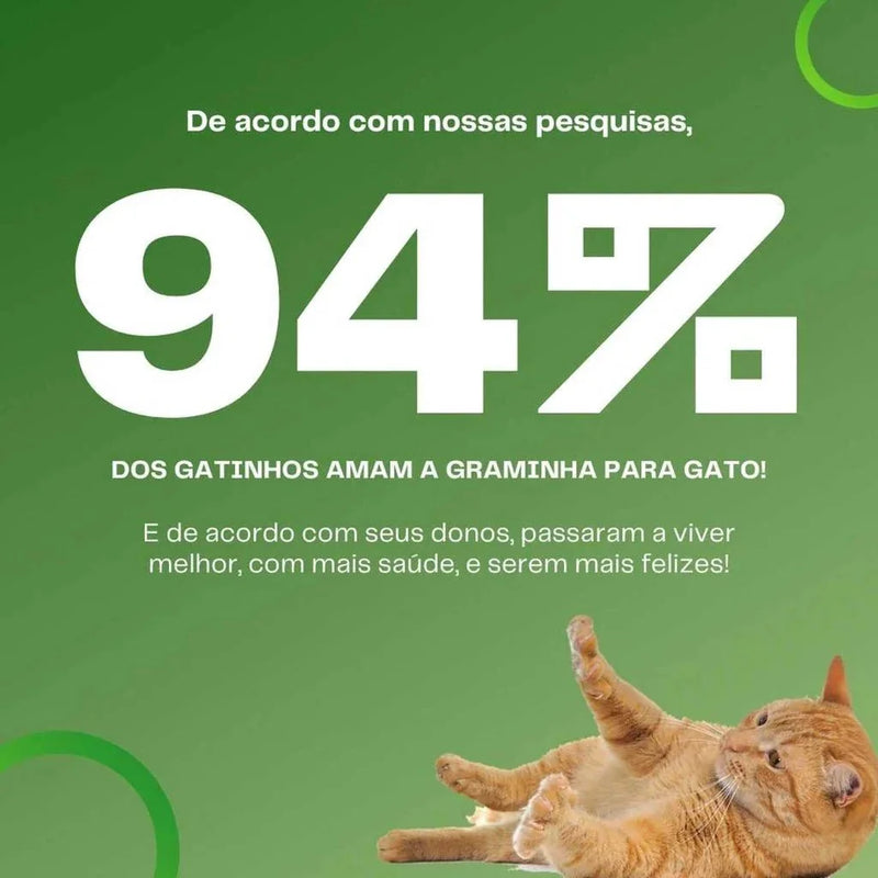 Graminha para gatos
