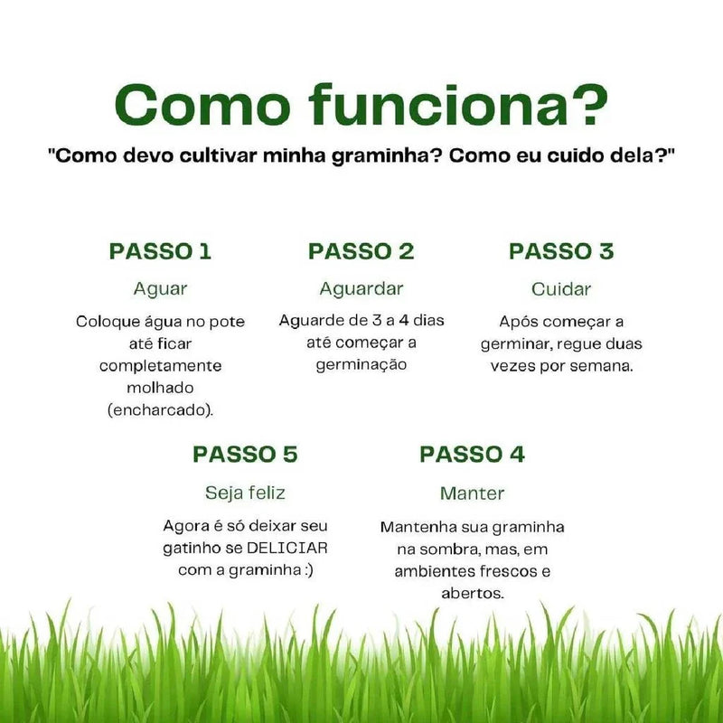 Graminha para gatos