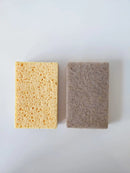 Kit Raiz Eco - 10 Esponjas Biodegradáveis