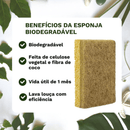 Kit Raiz Eco - 10 Esponjas Biodegradáveis