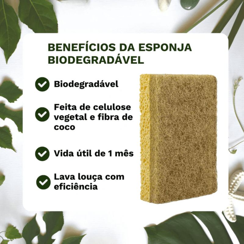 Kit Raiz Eco - 10 Esponjas Biodegradáveis